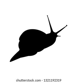 Silhouette of a small snail. Isolated vector illustration. Black colour. Close-up.
