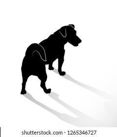 Silhouette of small standing dogs Jack Russell Terrier. Rear and top view of the pets isolated on white background.