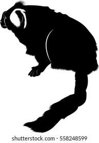 silhouette is the smallest monkey in the world