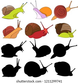 silhouette snail bright
