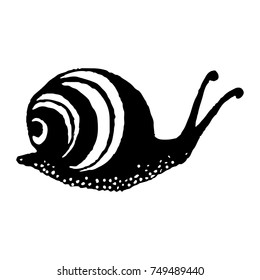 Silhouette of snail. eps10