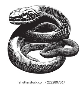 Silhouette snake black and white sketch on a white background.Vector illustration