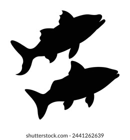 silhouette of Snook fish on white