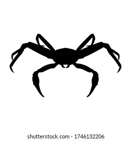 Silhouette Snow Crab Isolated On White Stock Vector (Royalty Free ...