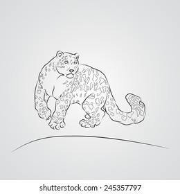Silhouette of the snow leopard