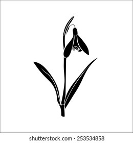 Silhouette of snowdrop isolated on white background. Vector illustration.