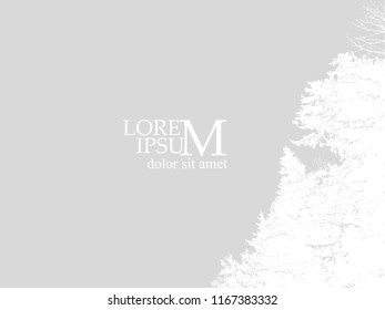 Silhouette of a snow-white crown of a tree on a gray background