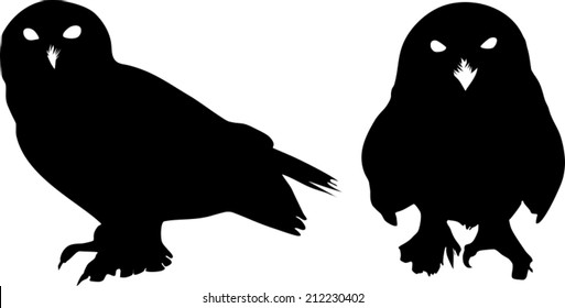 Silhouette of Snowy Owl