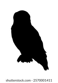 Silhouette of snowy owl Bubo scandiacus. Realistic vector birds of the North.