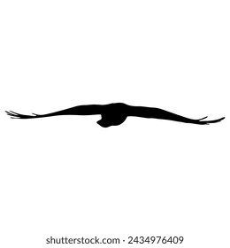 A silhouette of a soaring bird