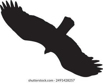 Silhouette of a soaring bird with outstretched wings in flight