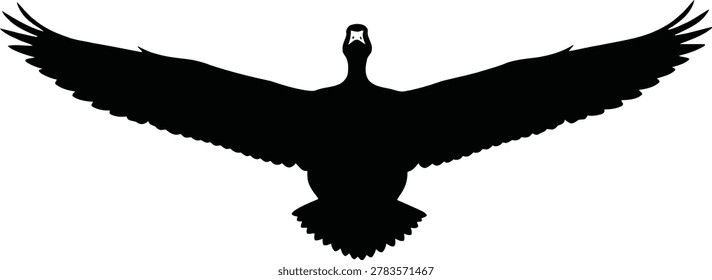 Silhouette of a soaring bird with outstretched wings isolated on white background