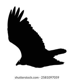 Silhouette of a soaring bird of prey. Symbol of Eagle vector, Eagle Icon, Eagle Drawing.
