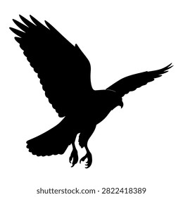 Silhouette of a soaring bird of prey with wings spread wide, captured in mid-flight against a plain background, emphasizing its powerful form.