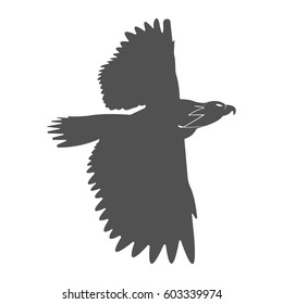 Silhouette of a soaring bird. Separately isolated image on a white background