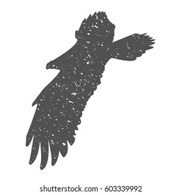 Silhouette of a soaring bird. Separately isolated image on a white background