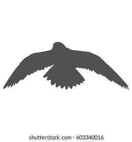 Silhouette of a soaring bird. Separately isolated image on a white background