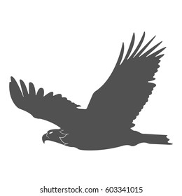 Silhouette of a soaring bird. Separately isolated image on a white background