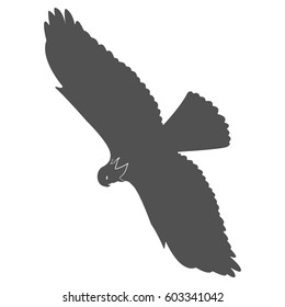 Silhouette of a soaring bird. Separately isolated image on a white background