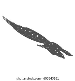 Silhouette of a soaring bird. Separately isolated image on a white background