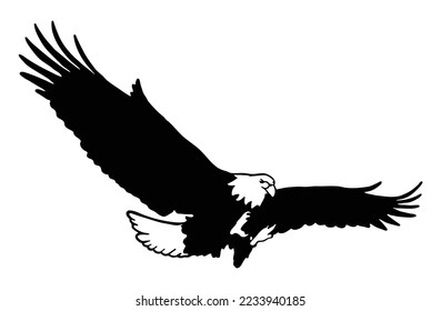 Silhouette of a soaring eagle bird. bald eagle logo isolated on a white background