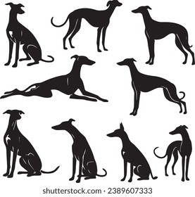 Silueta Sólido Ícono Vector Conjunto De Perro, Razas, Cañón, Cachorro, Perro, Mutt, Mascota, Doggy.