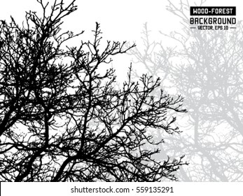 Silhouette of some branches.  Vector and illustration.