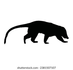 Silhouette of South American coati.