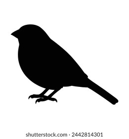 silhouette of a sparrow bird on white