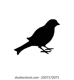 Silhouette Of Sparrow, Sparrow isolated on white background