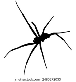 A silhouette of a spider
