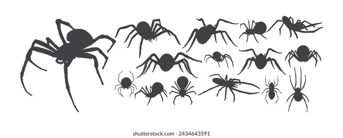 silhouette spider. black isolated white background