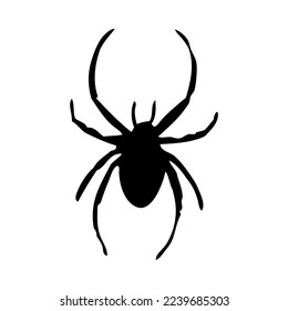 Silhouette of spider. Spider close-up detailed. Vector spider icon on white background.