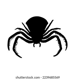 Silhouette of spider. Spider close-up detailed. Vector spider icon on white background.