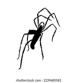 Silhouette of spider. Spider close-up detailed. Vector spider icon on white background.