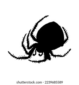 Silhouette of spider. Spider close-up detailed. Vector spider icon on white background.