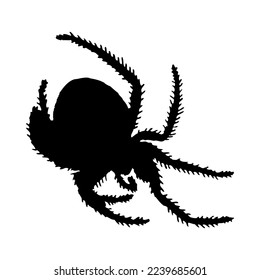 Silhouette of spider. Spider close-up detailed. Vector spider icon on white background.