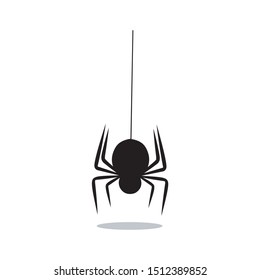 silhouette of spider hanging on cobweb