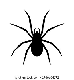 silhouette of a spider hanging from a web Abandoned House Horror Ideas for Halloween
