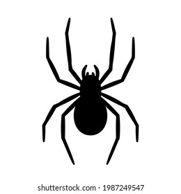 silhouette of a spider hanging from a web Abandoned House Horror Ideas for Halloween