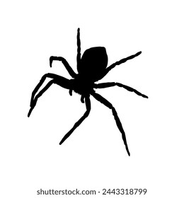 silueta de araña aislada	- ilustración vectorial