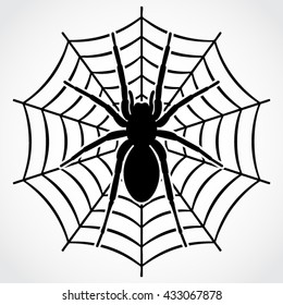 silhouette spider on web / vector illustration