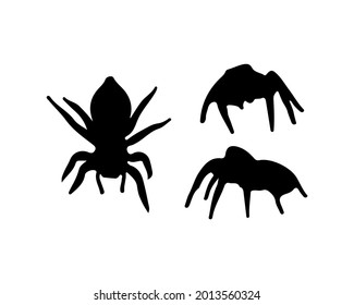 silhouette spider on white background. vector illustration