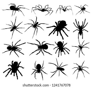 silhouette spider set, collection