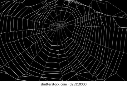 silhouette spiderweb