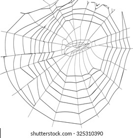 silhouette spiderweb
