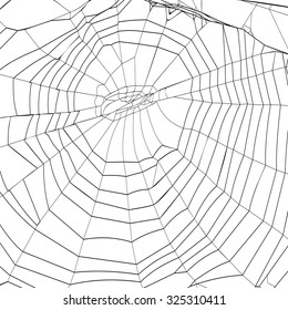 silhouette spiderweb