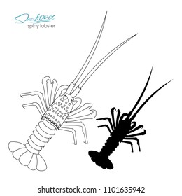 Silhouette spiny lobster. Linear silhouette spiny lobster. Vector illustration. Spiny lobster badge for design seafood packaging and market, food packaging or underwater sea animal themed design.