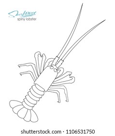 Silhouette spiny lobster. Linear silhouette spiny lobster. Vector illustration. Spiny lobster badge for design seafood packaging and market, food packaging or underwater sea animal themed design.