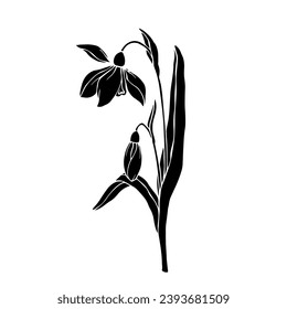 Silhouette of a spring snowdrop flower. Vector graphics.